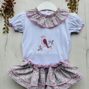 conjunto pajarito