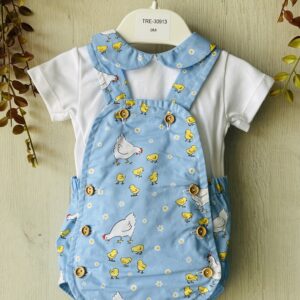 conjunto pollito